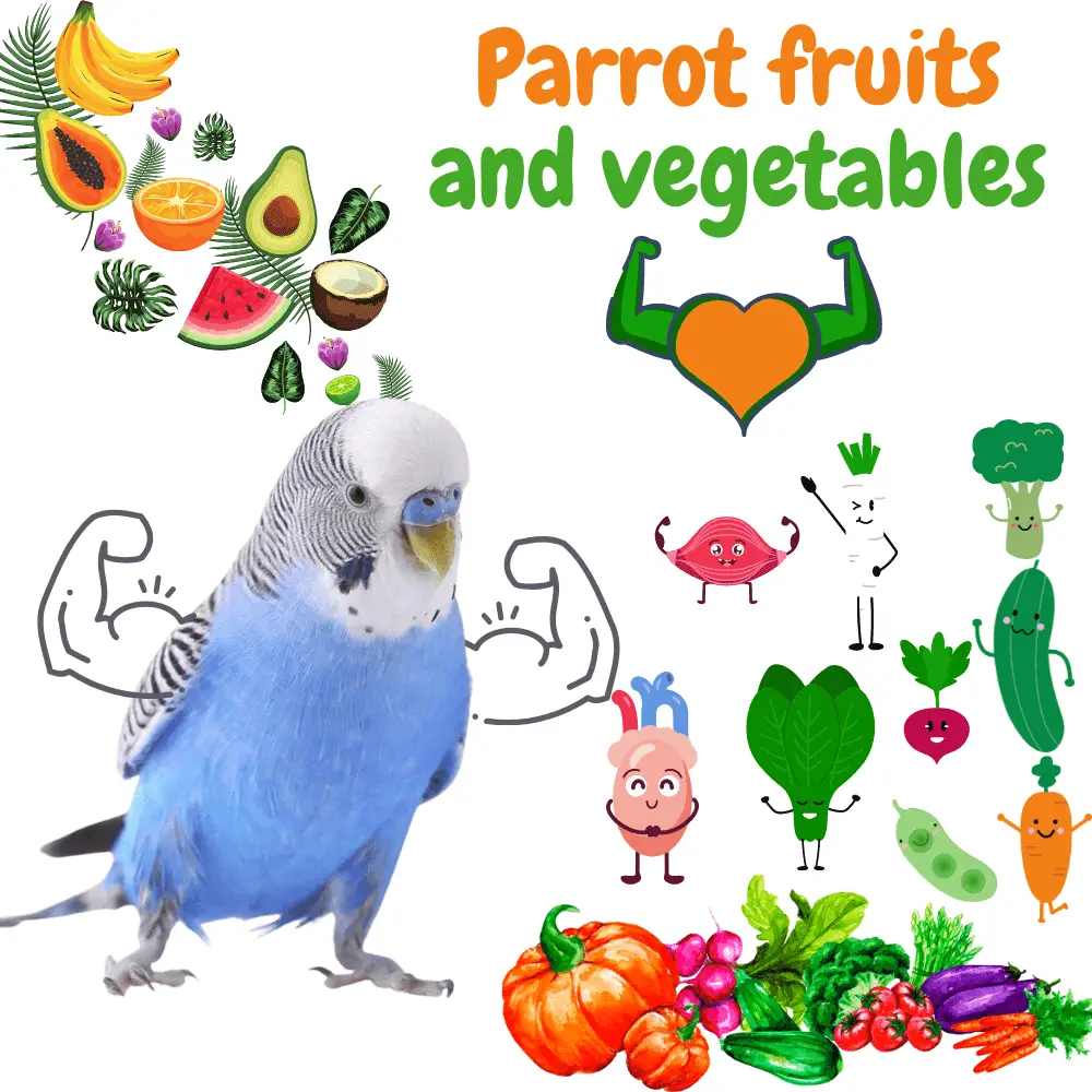 Parrot fruits and vegetables