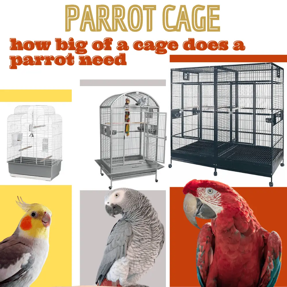 parrot cage