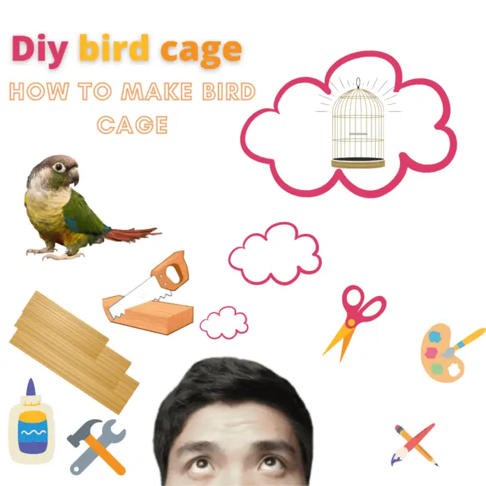diy bird cage