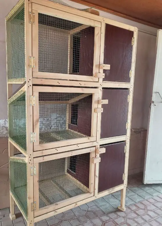 diy parakeet cage