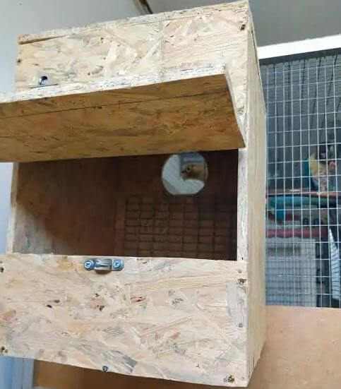 parrot nesting box8