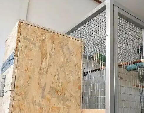 how to make a parrot nest