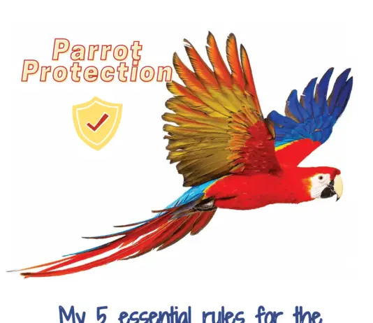 parrot protection