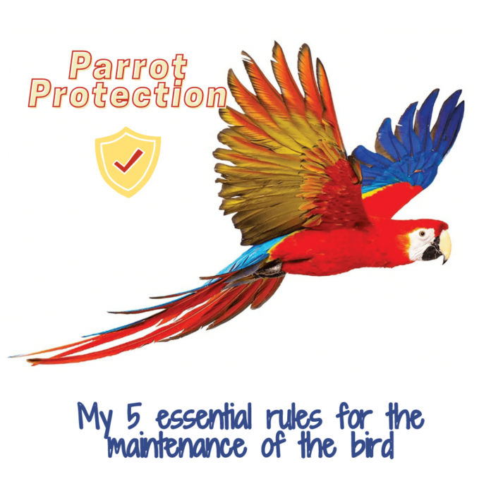 parrot protection
