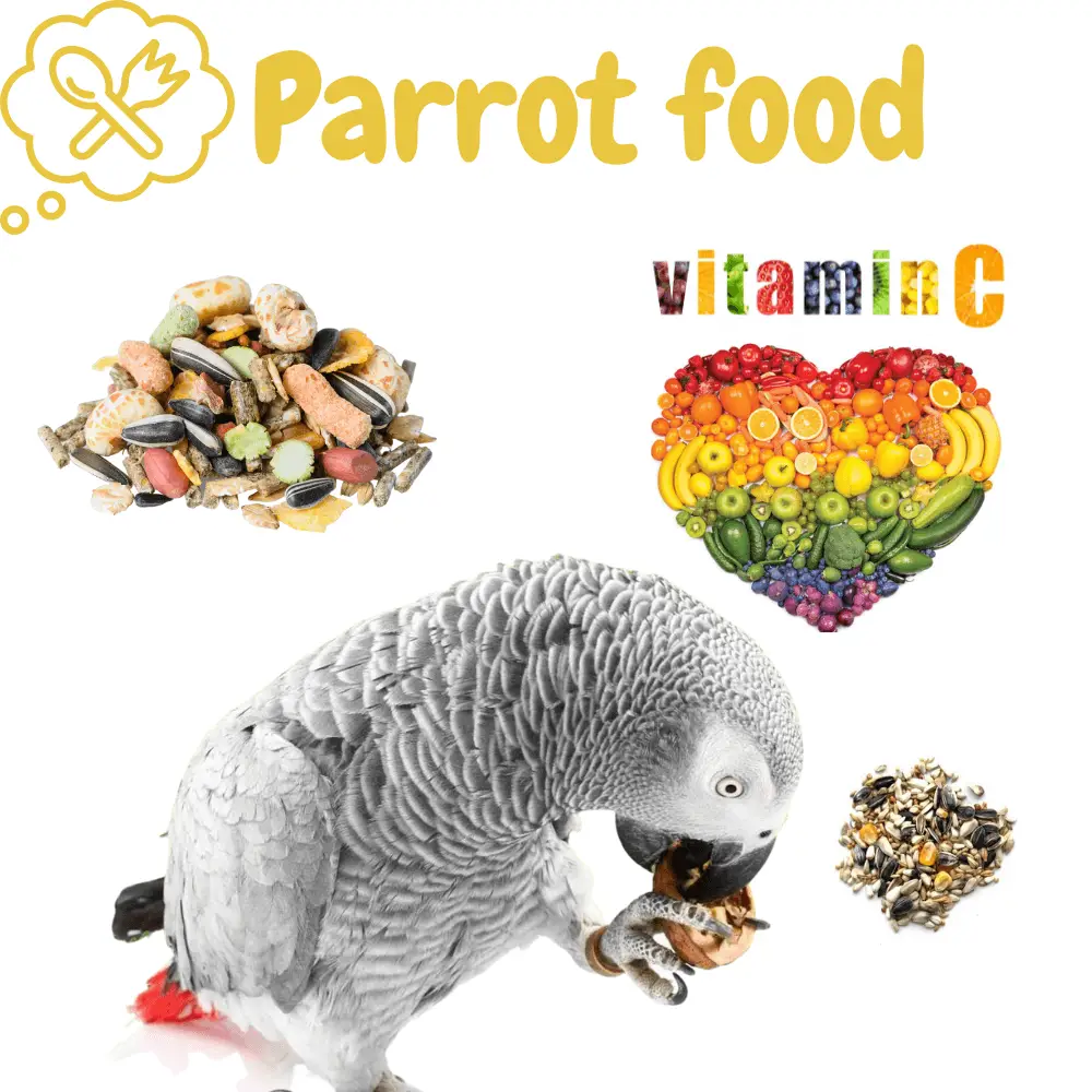 Parrot food