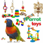 Parrot toys