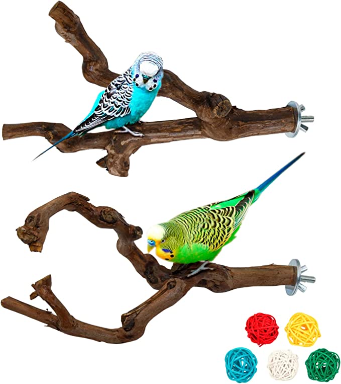 perch for parakeet