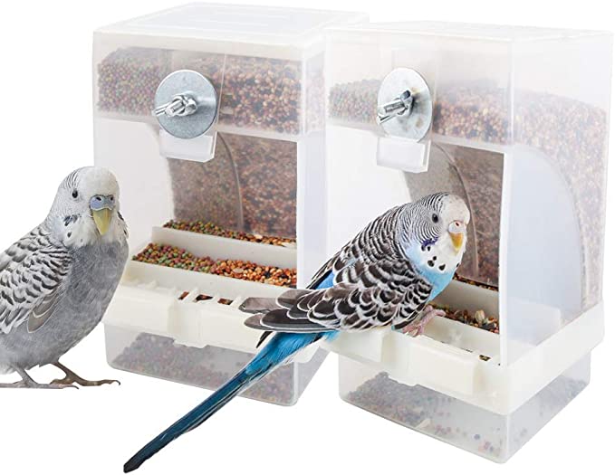 Parakeet feeders
