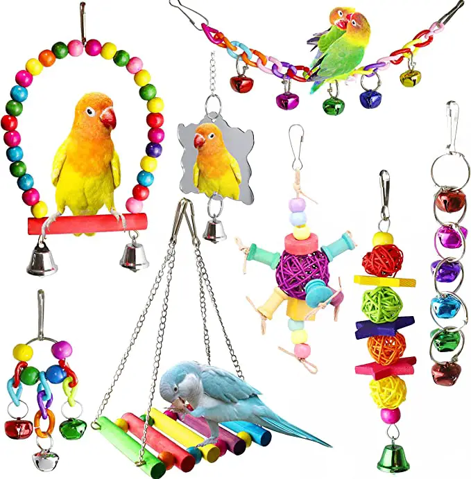 parakeet toys