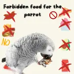 Foods for parrots