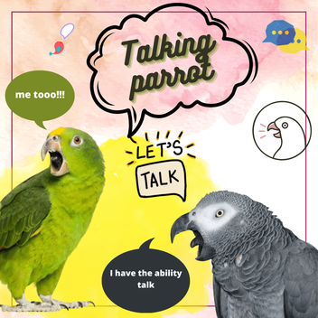 Talking parrot cheap toy amazon