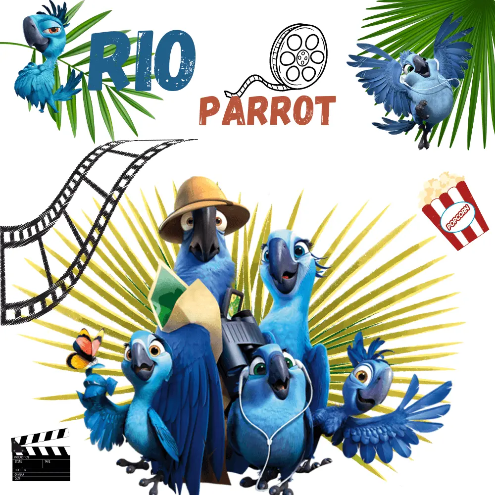 Rio parrot