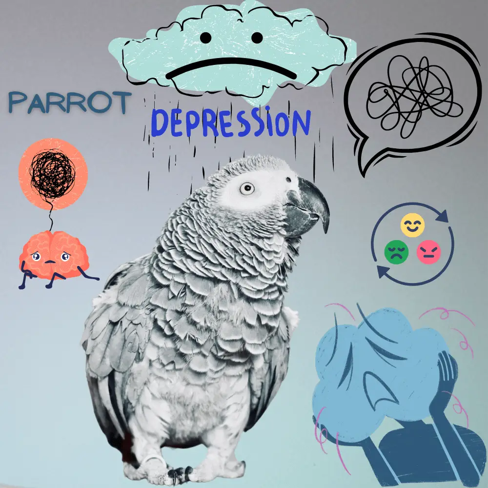 Depressed parrot
