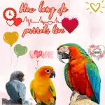 How long do parrots live