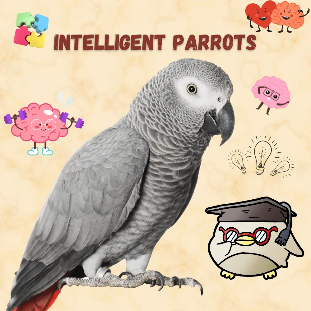 Intelligent parrots