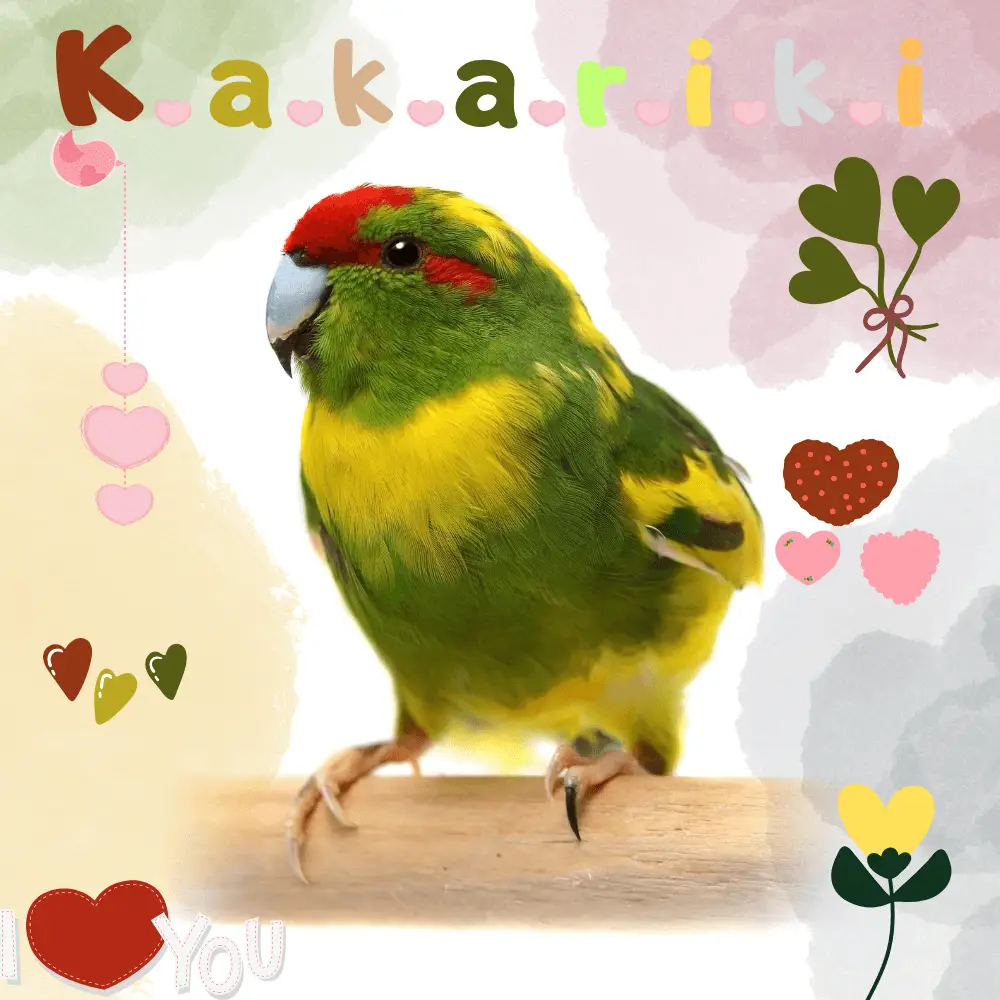 Kakariki