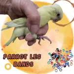 Parrot Leg Bands